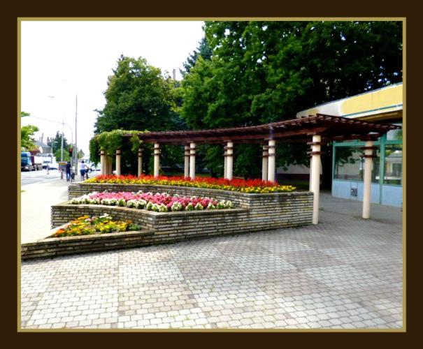 Matilda Apartman Daire Hajdúszoboszló Oda fotoğraf